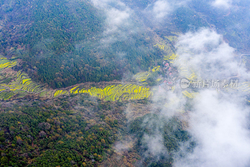 山景，大雾弥漫