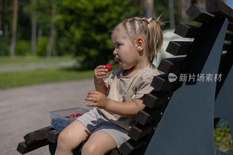 夏天，在公园的木凳上，一个孩子在吃草莓。一个女孩在炎热的夏天享受成熟芳香的草莓。这是一种健康的夏季浆果小吃。
