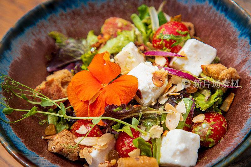 开胃菜沙拉的特写，碗里有圣女果、面包丁、香草和羊乳酪