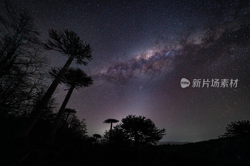 巴塔哥尼亚星夜中的银河