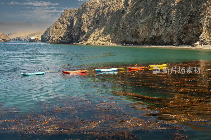 皮划艇串在一起漂浮在五颜六色的水和海带在卡塔利娜岛CA