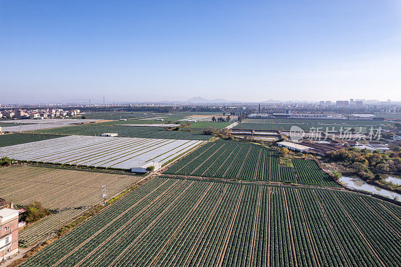 在阳光明媚的日子鸟瞰现代农业用地