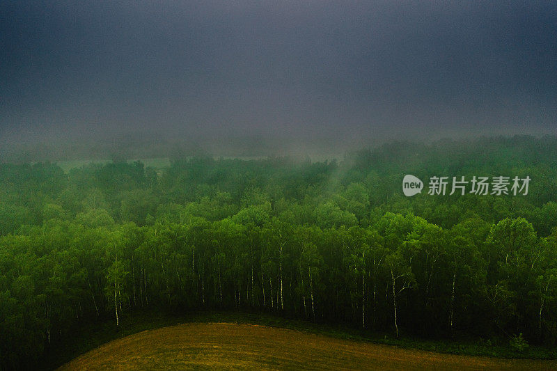 大雾笼罩森林无人机摄影。可持续性。环境保护。