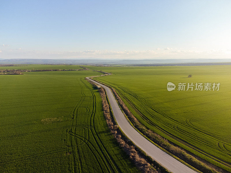 春天穿过农田的道路