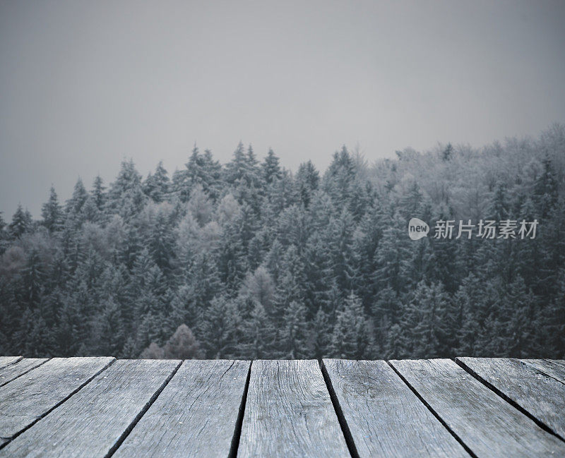 美丽的冬季森林景观，树上覆盖着积雪