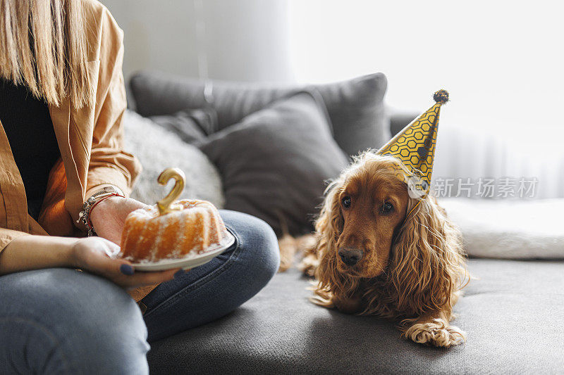 微笑的女人和她的狗在家里庆祝她的狗生日。