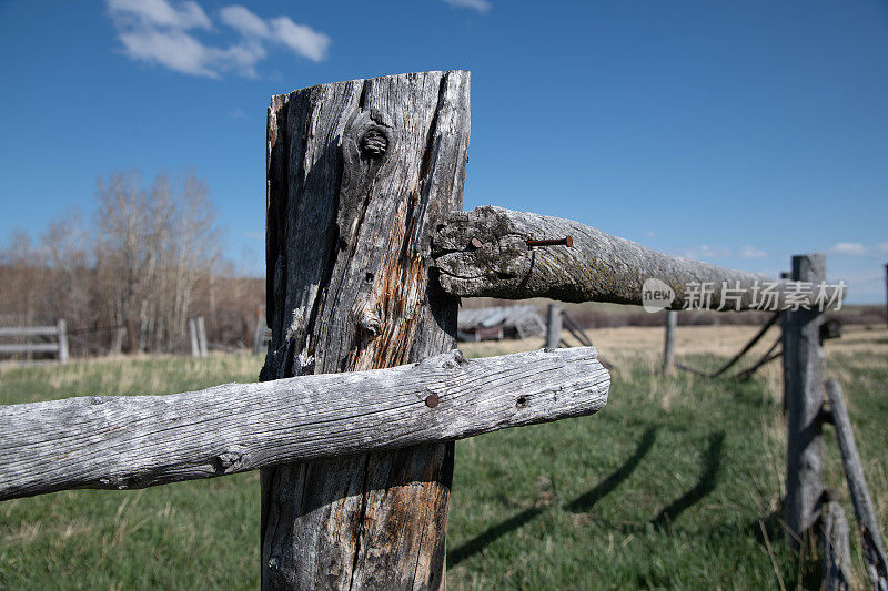 蒙大拿州北部的宅基地围栏仍在牧场上