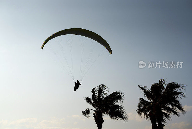 土耳其安塔利亚，双人滑翔伞(极限运动)，日落时分，头顶棕榈树在天空飞翔