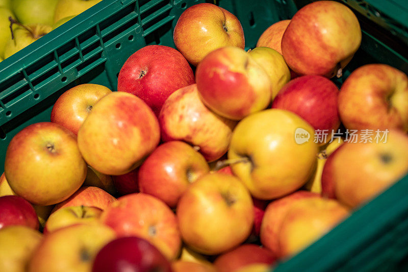 苹果的批量特写