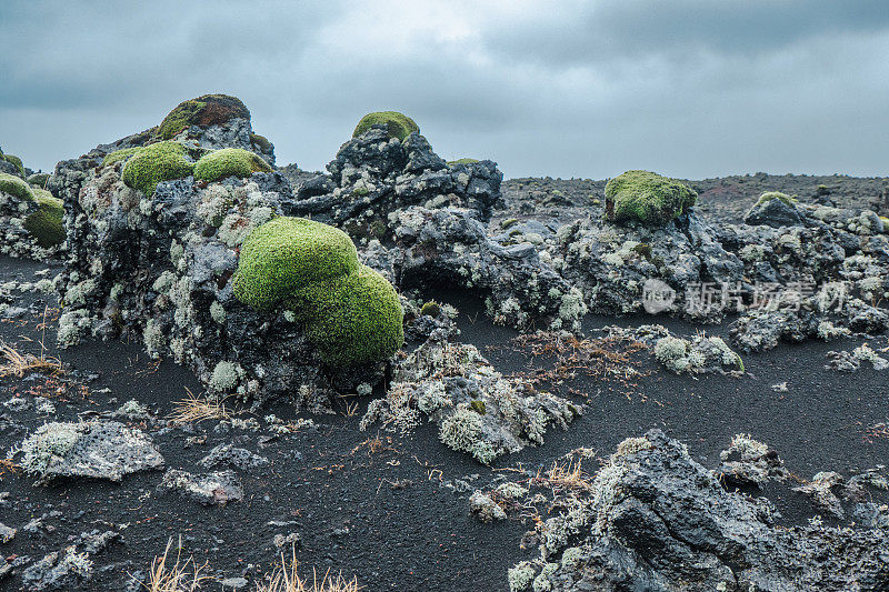 冰岛的熔岩地貌，部分被苔藓覆盖