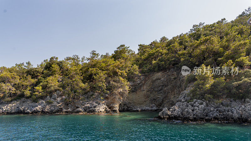 美丽的海景，树木的照片