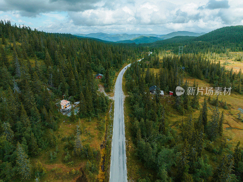 通过挪威森林的道路风景鸟瞰图