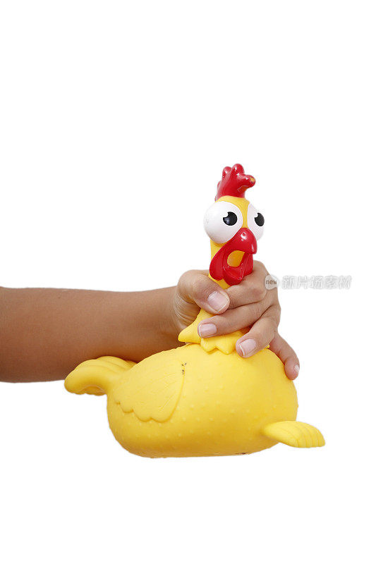 手握鸡玩具