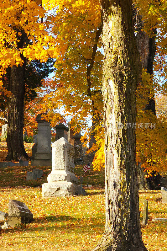 美国俄亥俄州兰开斯特的森林玫瑰公墓，在一个阳光明媚的日子里有美丽的秋叶