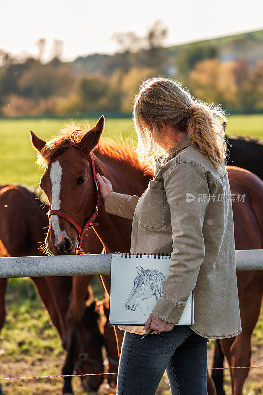 女艺术家在牧场上与马放松