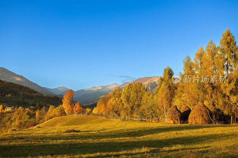 秋天的风景