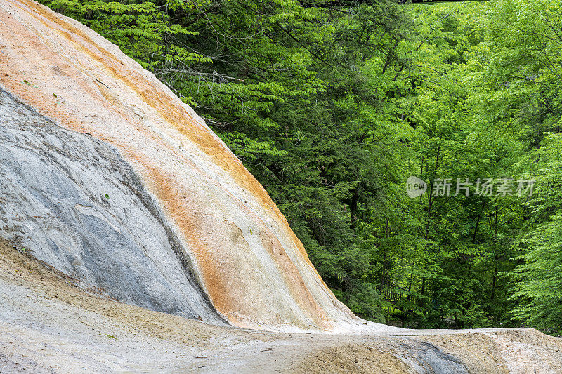 萨拉托加温泉州立公园间歇泉小径上的风景