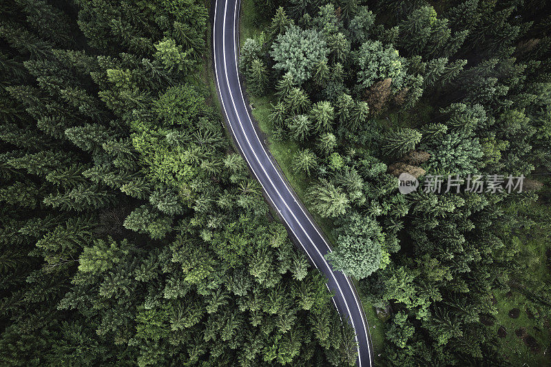 鸟瞰绿色森林中的山路