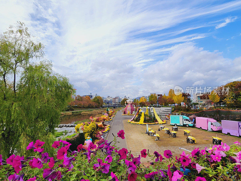 菊花节风景