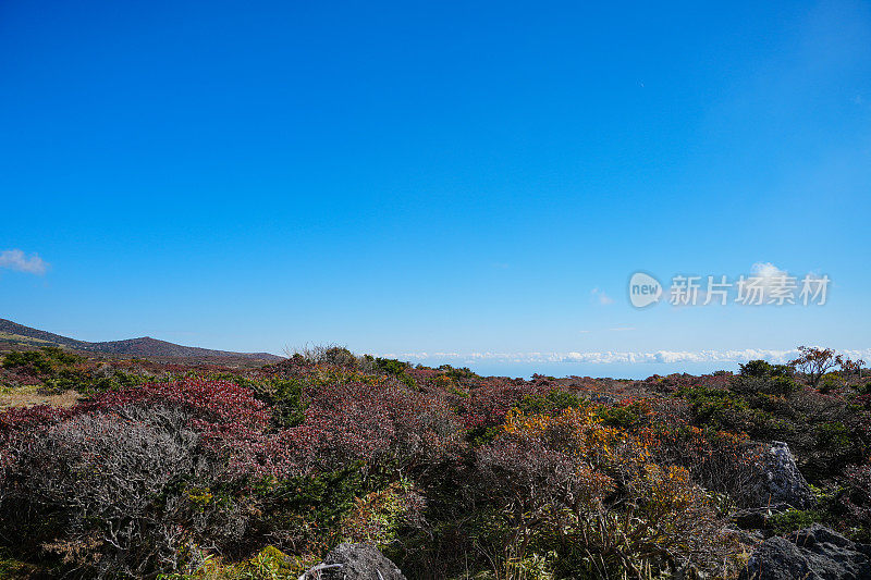 徒步登山(济州汉罗山)