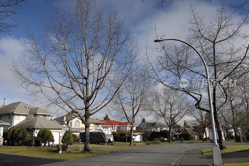 加拿大萨里市绿树成荫的街道上的家庭住宅