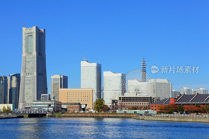 横滨市的观点