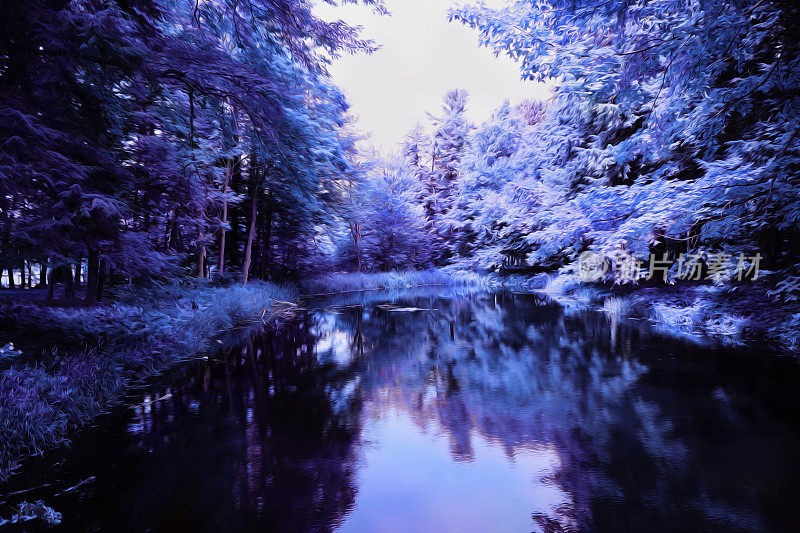 神秘的紫色森林和池塘，超现实，迷人