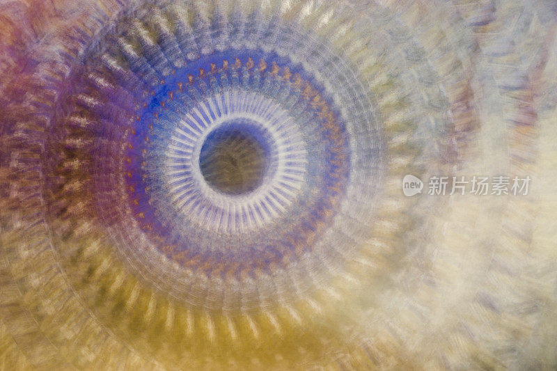 抽象――柔和的彩色圆圈，眼睛在中心