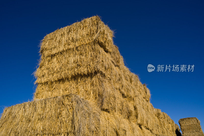 干草捆和晴朗的蓝天