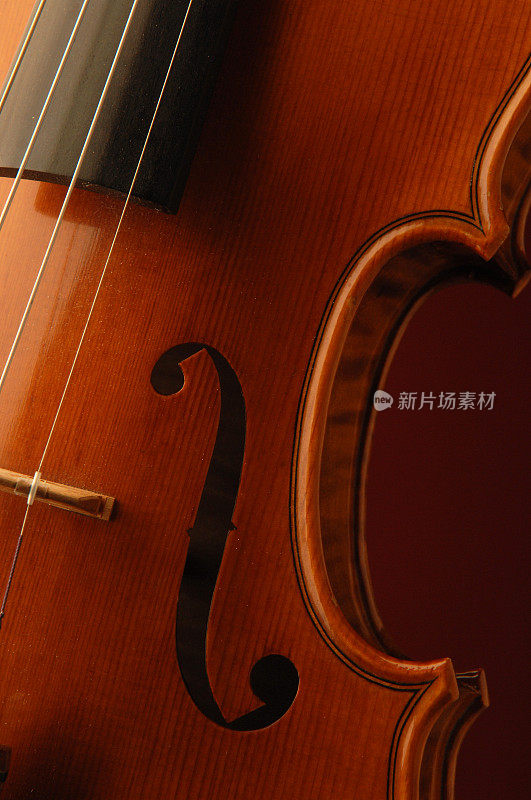 新的小提琴细节f洞裁剪
