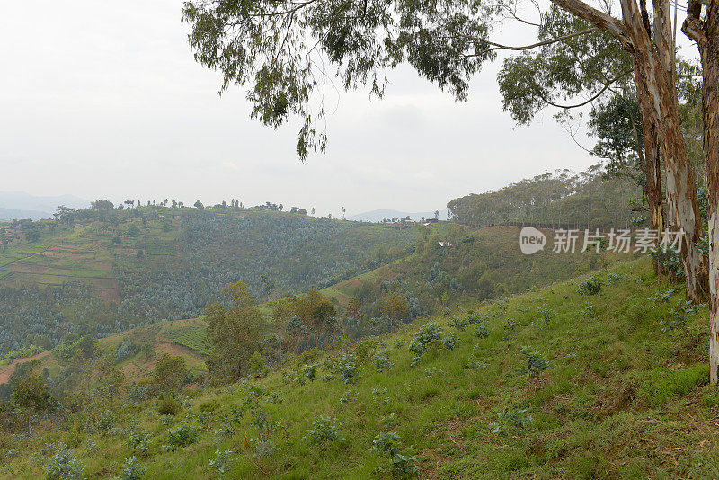 卢旺达基贝霍地区的农村