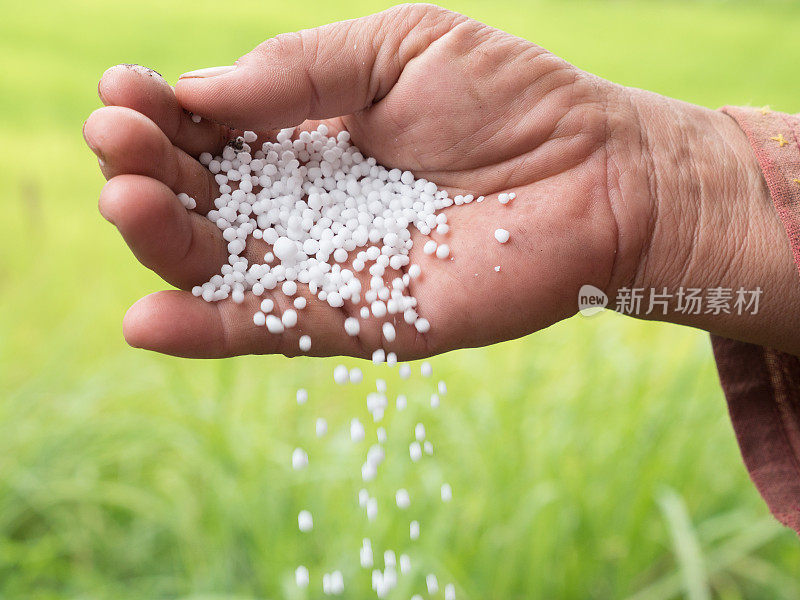 农民手握植物化肥