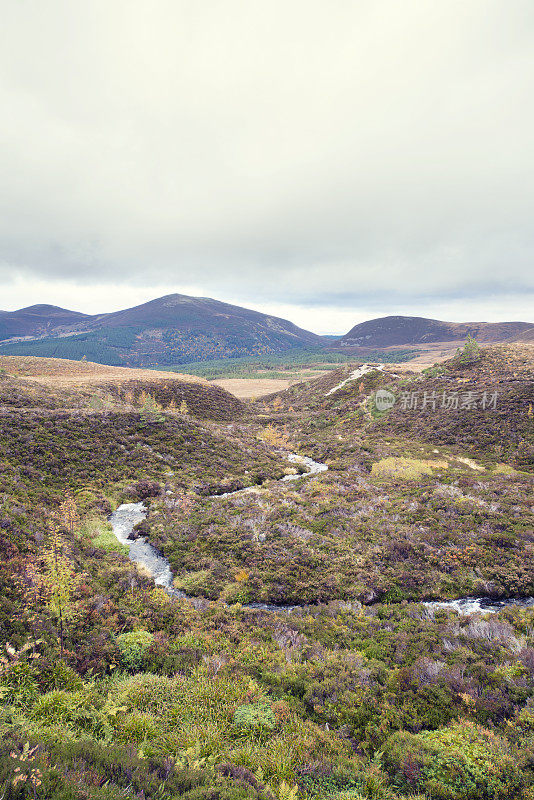 苏格兰国家公园凯恩戈姆山脉的蜿蜒溪流