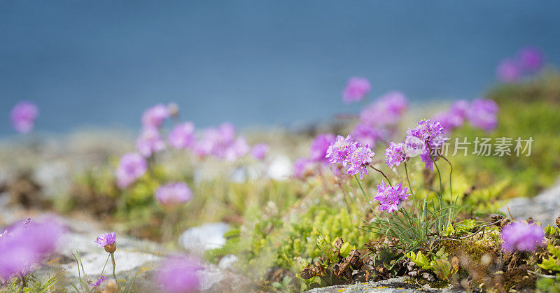 海节俭全景