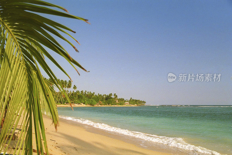 乌纳瓦图纳棕榈滩-斯里兰卡