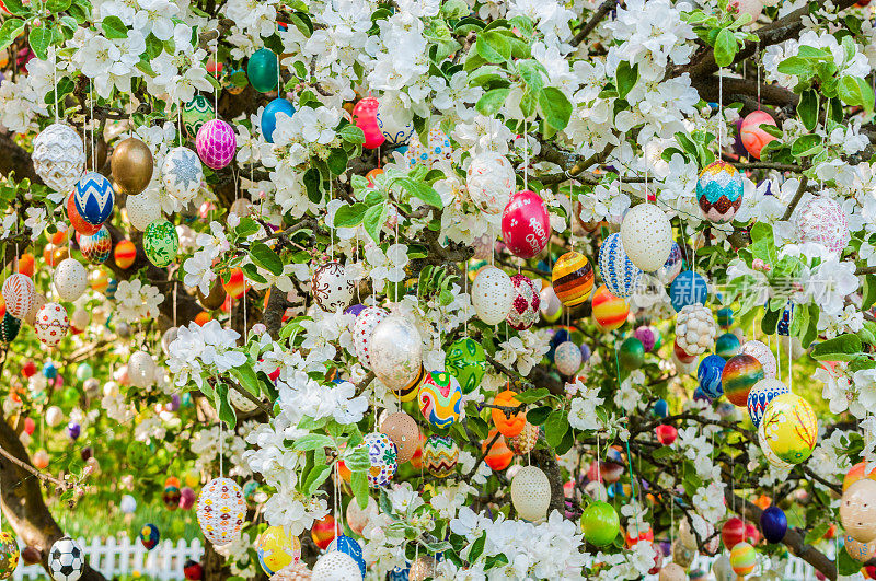 彩色手工制作的复活节彩蛋挂在苹果树上