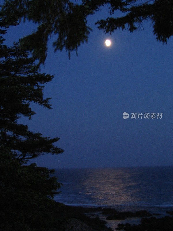 夜晚的月亮在湖上