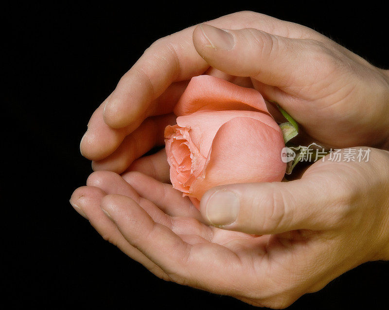 双手握着一朵黑色玫瑰