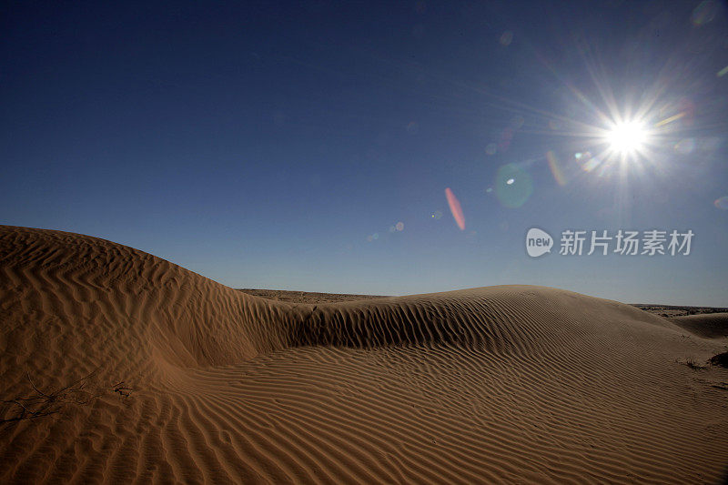 辛普森沙漠沙丘