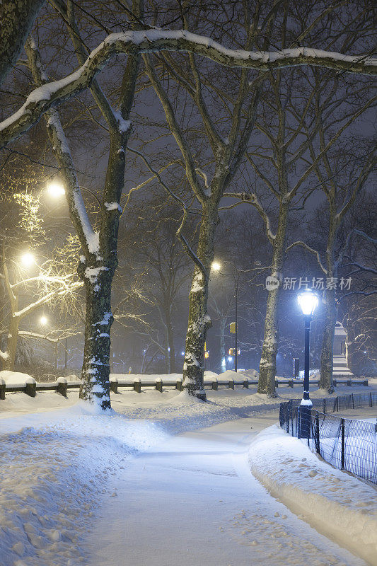 在暴风雪的晚上去中央公园