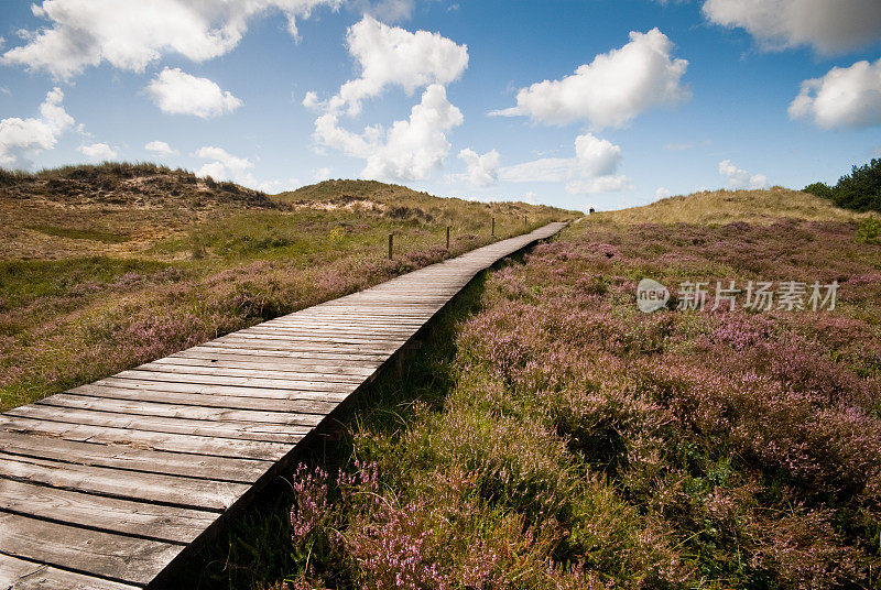 穿越沙丘和广阔的天空