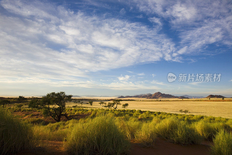 农业田顶天景观