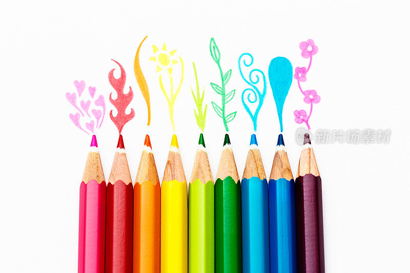 彩虹铅笔在白色的背景上描绘花朵
