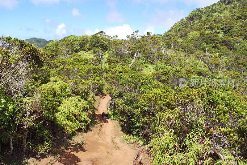 夏威夷考艾岛的寇基州立公园徒步旅行路线。