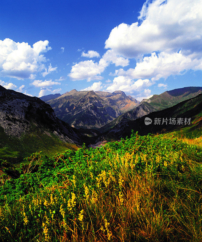 庇里牛斯山