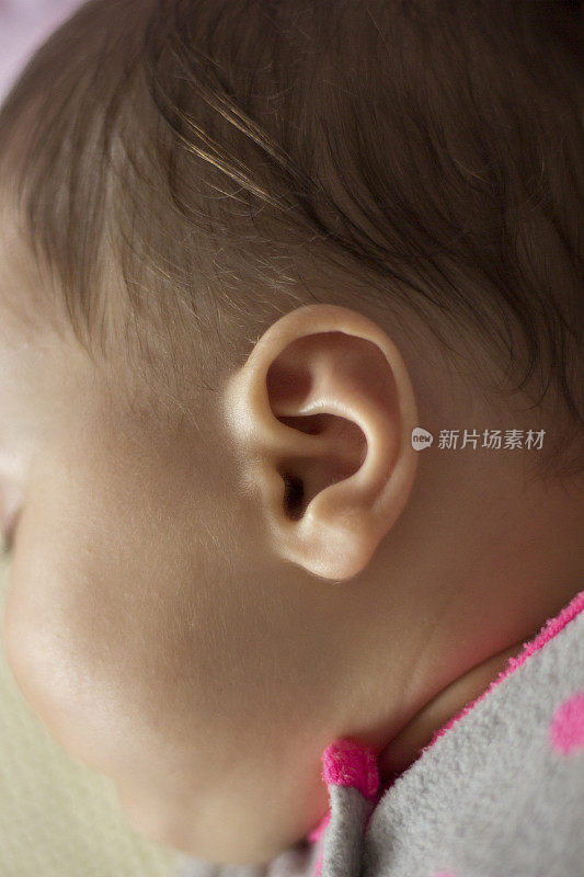 婴儿的耳朵