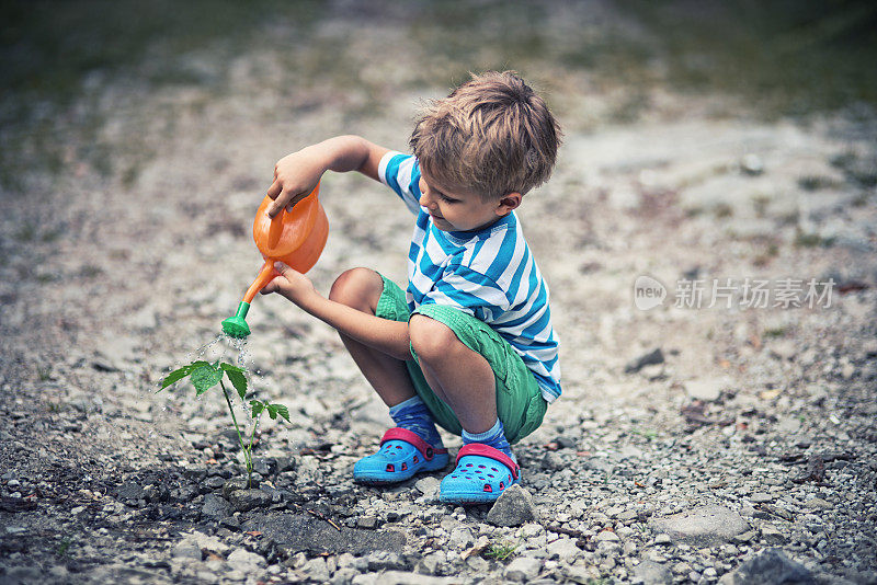 小男孩在给植物浇水