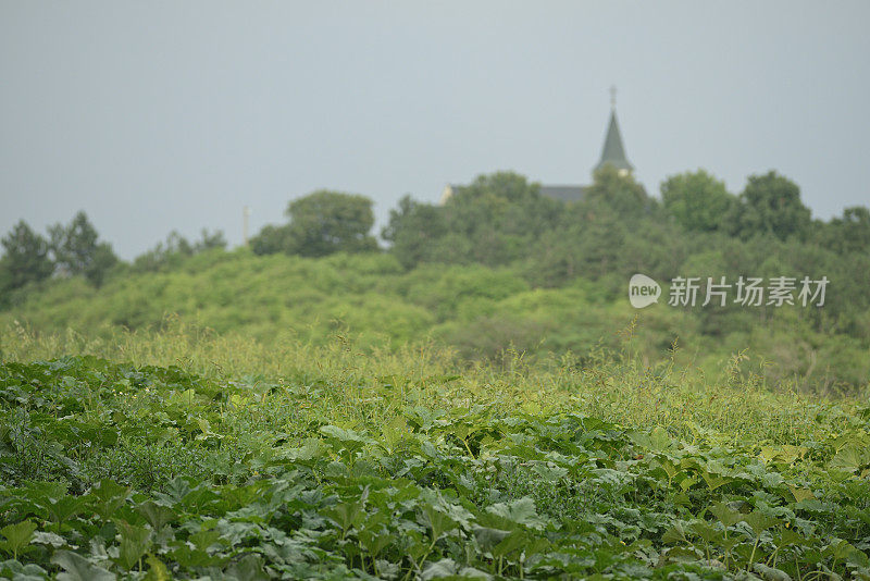 在下雨之前