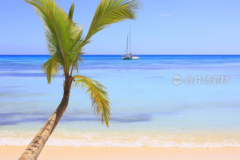 热带天堂:幽静的沙滩，棕榈树，游艇