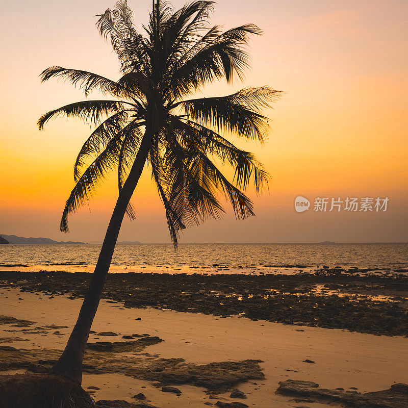 泰国安达曼海日落海滩